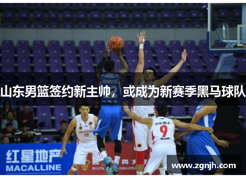 山东男篮签约新主帅，或成为新赛季黑马球队